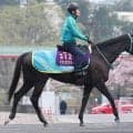 「フレッシュでいい印象」＆「ここは通過点にしてほしい」と話す有力馬２頭出し　黒岩調教師が土曜重賞ダブル制覇狙う