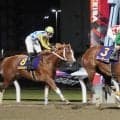 シーテープが４連勝でクラウンＣ制覇　重賞は初勝利