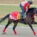 【阪神牝馬Ｓ】１週前はラスト１０秒７！東京新聞杯２着ラヴァンダ上昇中　中村調教師「楽しみになる走りを見てみたい」