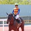 【注目馬動向】４連勝中のテーオーエルビスは米Ｇ１チャーチルダウンズＳへ　高柳大調教師「海外遠征を経験させたい」
