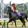 【阪神牝馬S】GI馬3頭が激突 ヴィクトリアMの主役となるのはどの馬か