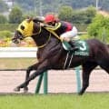 兄は３歳でスプリントＧ１制覇の快速馬　重賞馬フェーングロッテンが競走馬登録を抹消