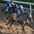 【桜花賞】一発あるぞナムラコスモス！田口貫太騎手「前走と同じか、少し上回っている印象。十分チャンス」