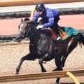 【桜花賞】ドリームコアは０６年以来勝ち星のない７枠１４番　萩原調教師「ジョッキーが対応してくれる」とルメール騎手を信頼
