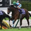 【阪神牝馬S出走馬・騎手確定】エンブロイダリー＆C.ルメール騎手、アスコリピチェーノ＆坂井瑠星騎手など10頭