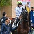 半兄は名馬ドウデュース エンダードラゴンが待望の2勝目なるか