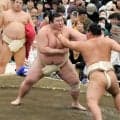 地元の熱海富士に大きな声援　大相撲の春巡業、8年ぶり「三島場所」