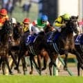 【香港チャンピオンズデー】マスカレードボール、ミュージアムマイル、サトノレーヴなど日本馬7頭が選出