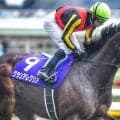 いとこは名牝グランアレグリア フライングビーナスがデビュー勝ち狙う