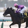 【競馬予想】本誌オリジナル選定の「３歳牝馬ランキング」　桜花賞を勝つのはどの馬だ