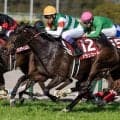 今週の武豊騎手は11鞍 アランカールで桜花賞の22年ぶり6勝目なるか