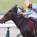 阪神牝馬Sはやや波乱傾向の一戦 押さえておきたい血統とは