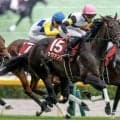 【阪神牝馬S予想】ヴィクトリアMの最重要ステップ 総合力が試される阪神マイルが舞台