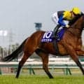 【東京スプリント】ママコチャなどJRA馬は5頭