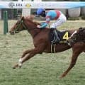 【競馬予想】混戦模様の桜花賞で、抜け出しそうな血統を持つ馬は？　牝系と配合に魅力がある２頭に注目