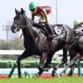【山藤賞】「すごくいい背中」横山武史騎手も絶賛！鮮やかに差し切った良血馬チャリングクロスが２勝目