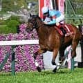 【阪神牝馬S結果】二冠牝馬エンブロイダリーが人気に応えて逃げ切りV！ 2着はオークス馬カムニャック