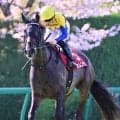 【阪神牝馬Ｓ】川田将雅騎手騎乗の４番人気カムニャックは２着　「前回よりはるかに我慢してくれました」
