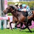 【大阪-ハンブルクＣ】ルメール騎手「長い距離でいい馬」と評価　１番人気ウィクトルウェルスが接戦制す　