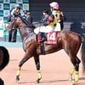 【ニュージーランドＴ】騎乗停止明け戸崎圭太騎手のディールメーカーは４着　「馬場に脚を取られてバランスを...」