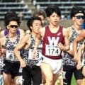早大ルーキーの新妻遼己は１５００Ｍで１７着「シニアで勝負できないのは自分の弱さ」…金栗記念