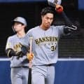 【阪神】ドラ3岡城快生が代打でプロ初打席　右飛に倒れ「欲を言えばヒットは欲しかった」