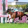【阪神牝馬Ｓ】エンブロイダリー復活！　森一調教師「マイルの適性はあると思っていた」次戦はＶマイルか安田記念へ