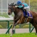 桜花賞は差し有利か 前走阪神JF組が好成績