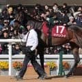 【競馬予想】人気２頭が中心視される桜花賞で、好配当をもたらす可能性がある伏兵２頭