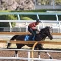 日曜中山競馬場の注目激走馬…中山１１Ｒ春雷ステークス（Ｌ）
