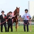 【桜花賞】ノーザンファームが４年連続で制覇　中島文彦ＧＭ「順調に今日まで来られたのが一番良かったと思います」