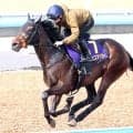 【皐月賞・坂本の特注馬】トライアルから上積み見込めるライヒスアドラー　舞台適性の高さは無視できない