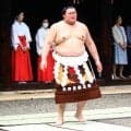 大の里が春巡業を離脱へ　先場所は左肩痛で途中休場