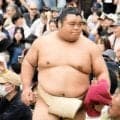 大相撲　藤凌駕が初ちょんまげ姿披露に笑顔「うれしくて何度もさわりました」祝福の強烈コンパチも