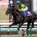 【中山GJ想定騎手】エコロデュエルは草野太郎騎手、ホウオウプロサンゲは小野寺祐太騎手