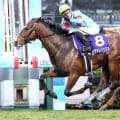 【皐月賞】朝日杯ＦＳからの初連勝に挑むカヴァレリッツォ　高速化に対応できるスピードあり偉業達成の可能性は十分