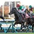 【先週のJRA抹消馬】重賞2勝を挙げたシュヴァリエローズ、一昨年のチューリップ賞を制したスウィープフィートなど