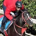 【中山ＧＪ】大差勝ち→１０馬身差Ｖ→ＪＧ１挑戦　４・１億円馬ホウオウプロサンゲは「これほど想像を...」と舌巻く強さ