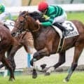 【皐月賞】高杉吏麒騎手がGI初制覇へ すみれS覇者のラージアンサンブルで挑む