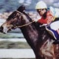 皐月賞着差ランキングTOP5 1位は85年の5馬身差圧勝V