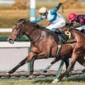 【皐月賞】武豊騎手×ロード軍団のタッグが重賞初制覇なるか 伏兵ロードフィレールで参戦