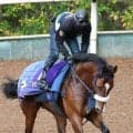 【皐月賞】最優秀２歳牡馬カヴァレリッツォは軽快で力強い脚取り　陣営「精神的にも少しずつ大人になってきました」