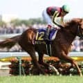 オルフェーヴルの一冠目 府中で行われた11年皐月賞を振り返る