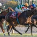 【皐月賞】新冠橋本牧場がGI初制覇へ 東スポ杯2歳S覇者のパントルナイーフが参戦