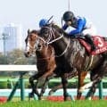 【注目馬動向・３歳】ニュージーランドＴを勝ったレザベーション　引き続き原優介騎手とのコンビでＮＨＫマイルＣへ