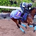 【皐月賞】２歳マイル王カヴァレリッツォＧ１連勝へ「仕上がった」