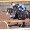 【天皇賞・春・２週前】武豊騎手とＧ１制覇へ　アドマイヤテラが好時計　友道調教師「言うことないですね」