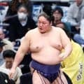 “アレルギー性鼻炎”で休場の藤青雲が合流「スッキリです」３月に鼻の手術を受けたことを明かす