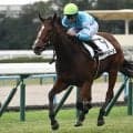 【福島牝馬S枠順確定】パラディレーヌは2枠3番、ジョイフルニュースは7枠14番