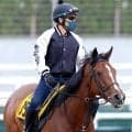 【福島牝馬Ｓ】悲願の重賞制覇へパラディレーヌは２枠３番　連対率１０割ジョイフルニュースは７枠１４番　枠順決定